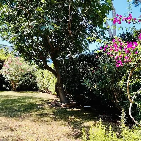 L Arche Du Cap Villa Antibes